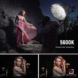 Đèn LED Neewer FS230 Day Light - 230w