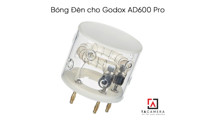 Bóng đèn AD600 Pro/ AD600 Pro II/ AD600BM II