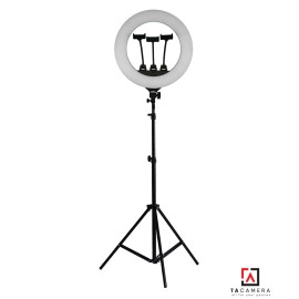 Đèn LED Ring Light TA450 45cm - Tặng Kèm Chân Đèn