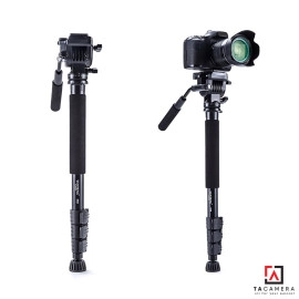 Chân Máy Ảnh - Monopod YunTeng 558