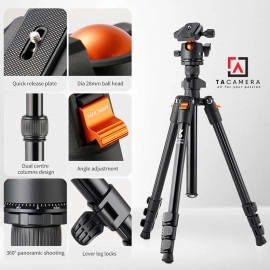 Chân Máy Ảnh - Tripod K&F Concept K234A0+BH-28L - KF09.101V1