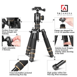 Chân máy ảnh - Tripod Q166A Mini