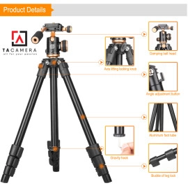 Chân Máy Ảnh - Tripod & Monopod Beike Q160S