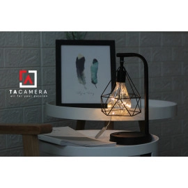 LED Fairy Lights - Đèn Đom Đóm Kèm Giá Đỡ Vintage TA2913 - Nguồn AA