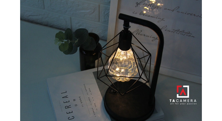 LED Fairy Lights - Đèn Đom Đóm Kèm Giá Đỡ Vintage TA2914 - Nguồn AA + USB