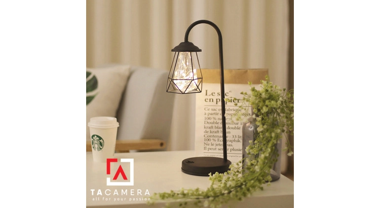 LED Fairy Lights - Đèn Đom Đóm Kèm Giá Đỡ Vintage TA2915 - Nguồn AA