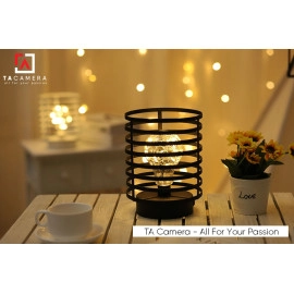 LED Fairy Lights - Đèn Đom Đóm Kèm Giá Đỡ Vintage TA2919 - Nguồn AA