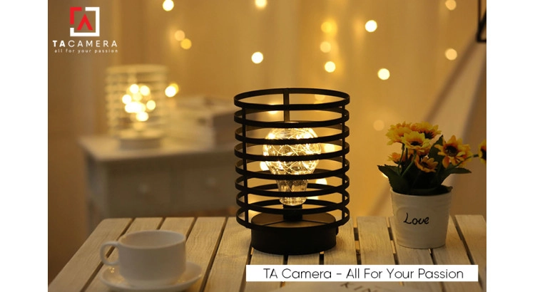 LED Fairy Lights - Đèn Đom Đóm Kèm Giá Đỡ Vintage TA2919 - Nguồn AA