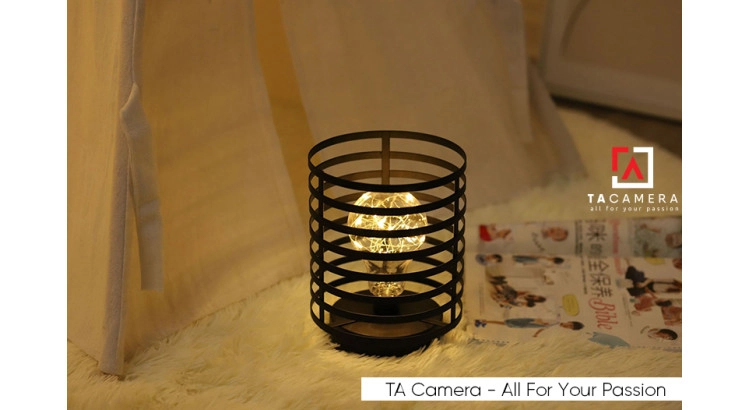LED Fairy Lights - Đèn Đom Đóm Kèm Giá Đỡ Vintage TA2920 - Nguồn AA + USB