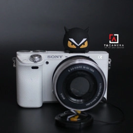 Hotshoe - Nắp Che Chân Đèn Flash Cute TA4035