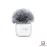 Micro Thu Âm Không Dây DJI Mic Mini Transmitter - Màu Trắng